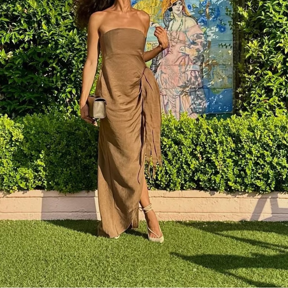 cult gaia Strapless Brown Maxi Dress